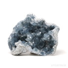 Blue Celestite on Matrix Natural Cluster from Madagascar | Venusrox