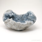 Blue Celestite on Matrix Natural Cluster from Madagascar | Venusrox