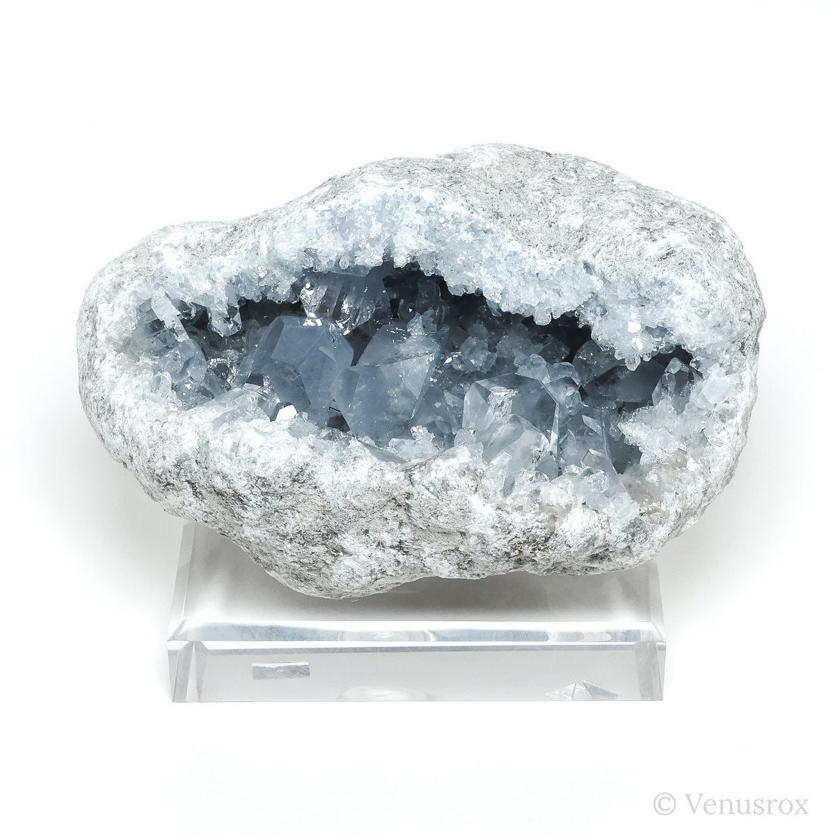Blue Celestite on Matrix Natural Cluster mounted on a bespoke stand from Madagascar | Venusrox