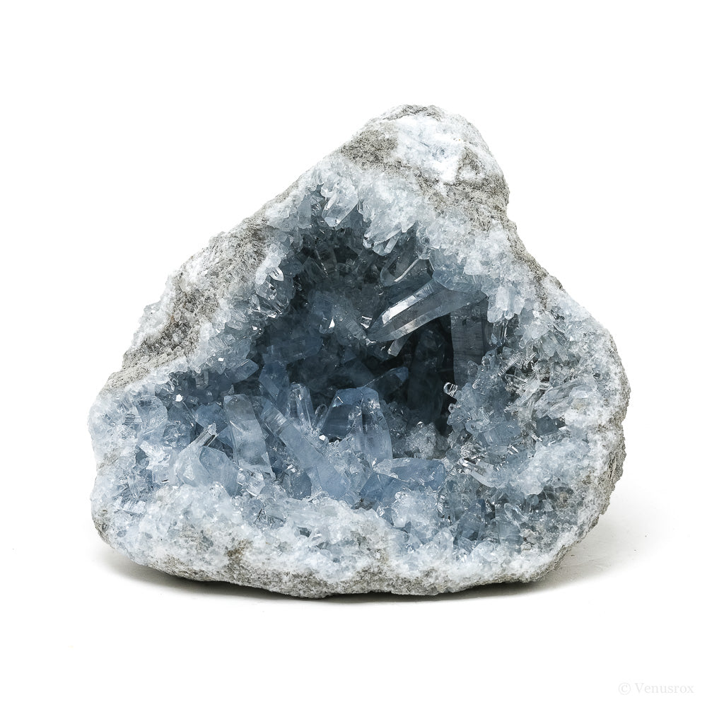Blue Celestite on Matrix Natural Cluster from Madagascar | Venusrox