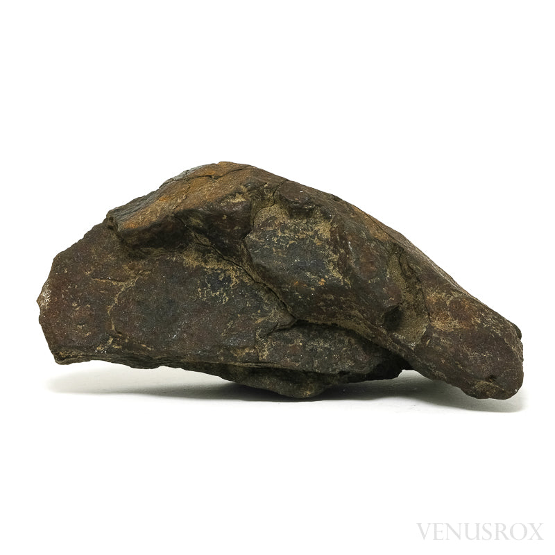 NWA Chondrite Meteorite Polished/Natural Fragment from Sahara Desert, North-West Africa | Venusrox