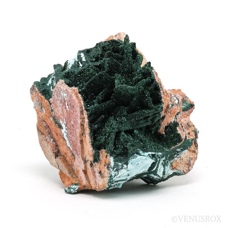 Chrysocolla Pseudomorph after Malachite and Azurite with Malachite & Matrix Natural Crystal from the Tenke-Fungurume Area, Lualaba, Democratic Republic of the Congo | Venusrox