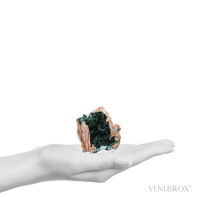 Chrysocolla Pseudomorph after Malachite and Azurite with Malachite & Matrix Natural Crystal from the Tenke-Fungurume Area, Lualaba, Democratic Republic of the Congo | Venusrox