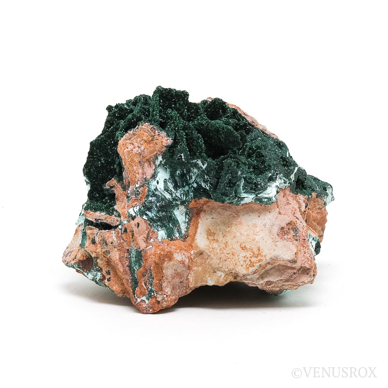 Chrysocolla Pseudomorph after Malachite and Azurite with Malachite & Matrix Natural Crystal from the Tenke-Fungurume Area, Lualaba, Democratic Republic of the Congo | Venusrox