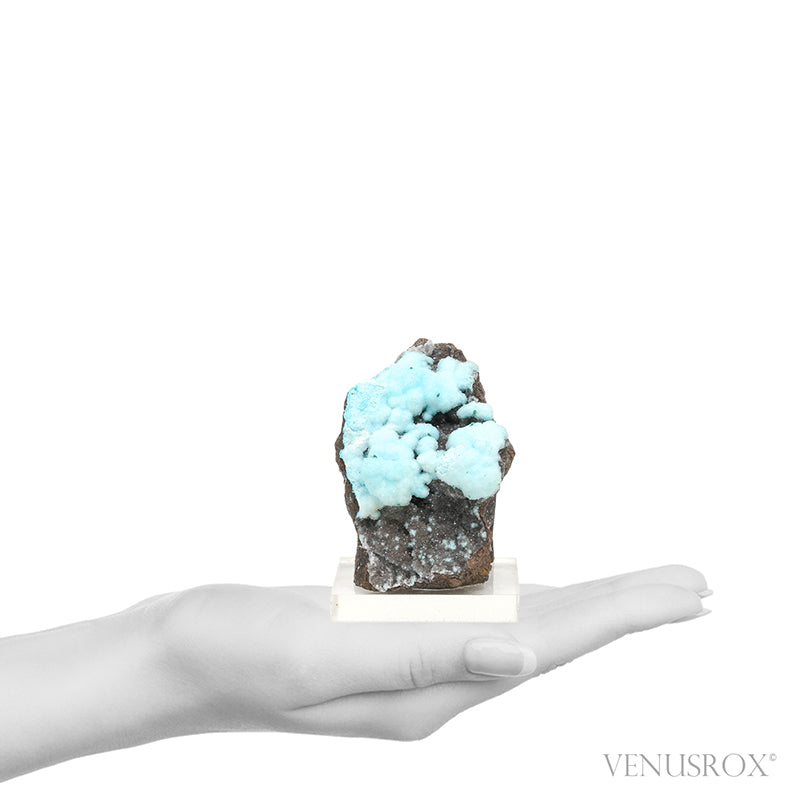 Chrysocolla with Malachite & Clear Quartz on Matrix Natural Crystal from the Lily Mine, Pisco Umay, Ica, Peru | Venusrox