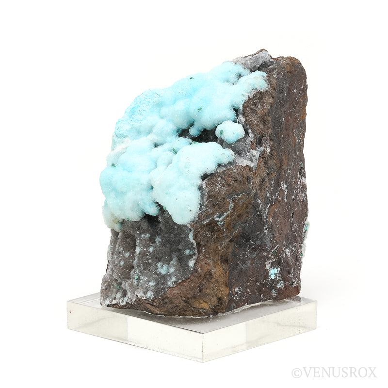 Chrysocolla with Malachite & Clear Quartz on Matrix Natural Crystal from the Lily Mine, Pisco Umay, Ica, Peru | Venusrox