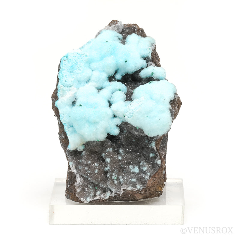 Chrysocolla with Malachite & Clear Quartz on Matrix Natural Crystal from the Lily Mine, Pisco Umay, Ica, Peru | Venusrox