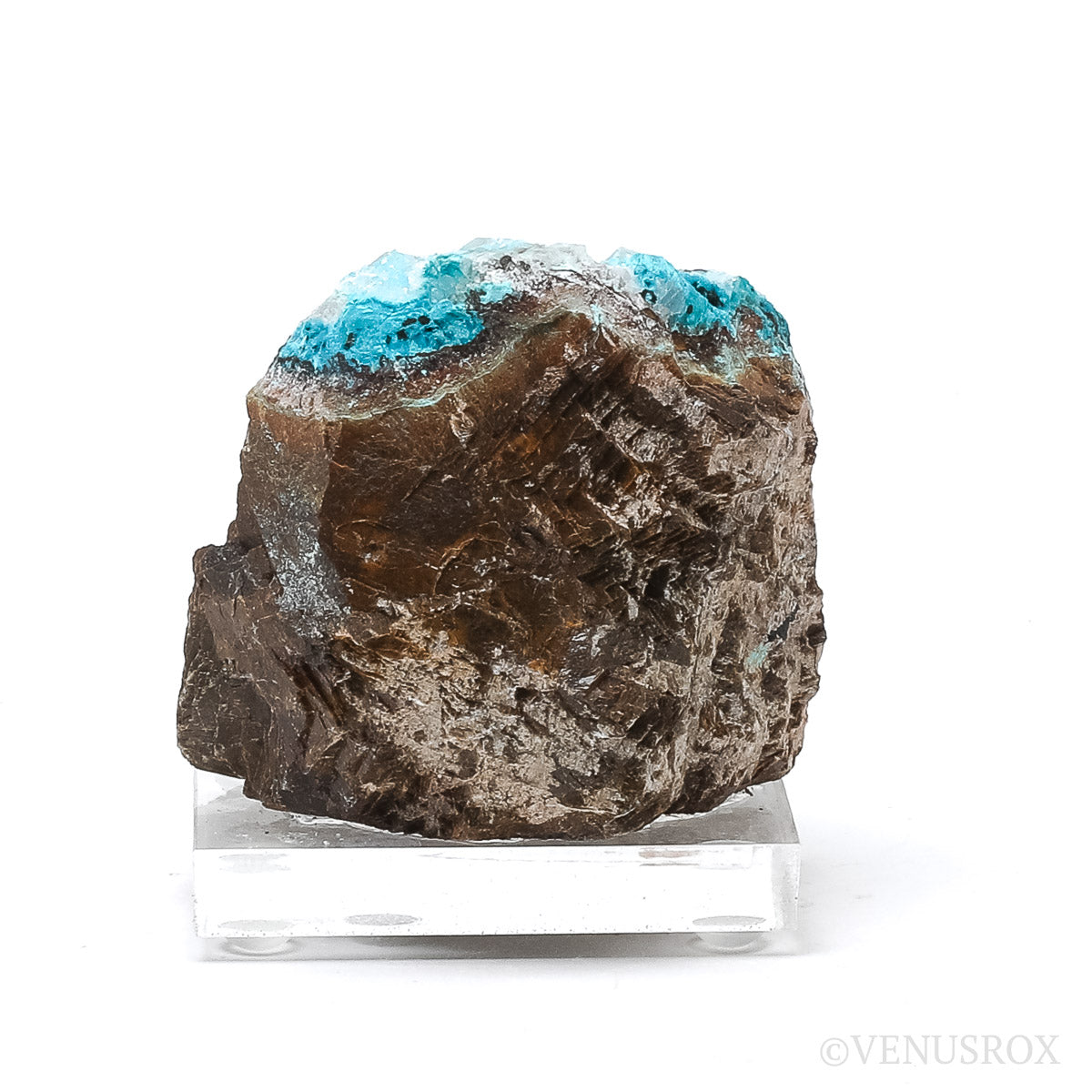 Chrysocolla with Clear Quartz & Calcite on Matrix Natural Crystal from Peru | Venusrox