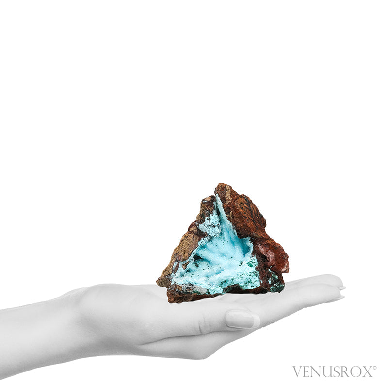 Chrysocolla with Malachite, Clear Quartz & Matrix Natural Crystal from the Tenke-Fungurume Area, Lualaba, Democratic Republic of the Congo | Venusrox