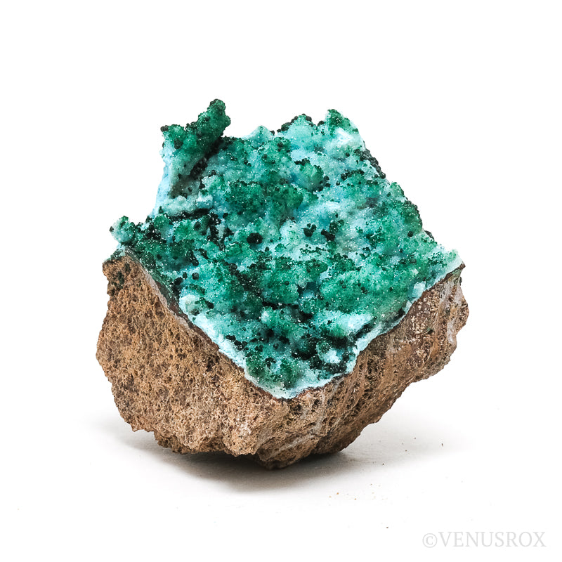 Chrysocolla with Malachite, Clear Quartz & Matrix Natural Crystal from the Tenke-Fungurume Area, Lualaba, Democratic Republic of the Congo | Venusrox
