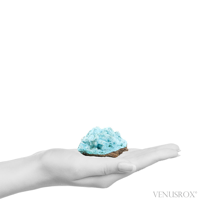 Chrysocolla with Malachite, Clear Quartz & Matrix Natural Crystal from the Tenke-Fungurume Area, Lualaba, Democratic Republic of the Congo | Venusrox