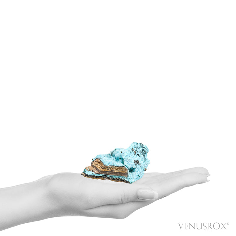 Chrysocolla with Malachite, Clear Quartz & Matrix Natural Crystal from the Tenke-Fungurume Area, Lualaba, Democratic Republic of the Congo | Venusrox