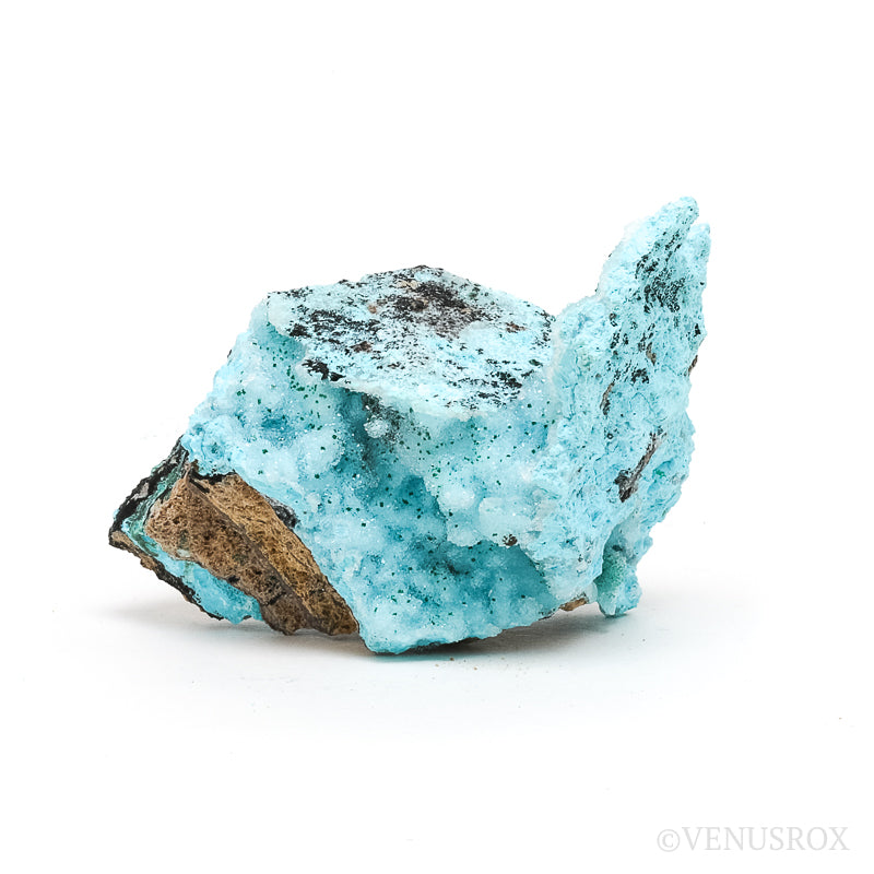 Chrysocolla with Malachite, Clear Quartz & Matrix Natural Crystal from the Tenke-Fungurume Area, Lualaba, Democratic Republic of the Congo | Venusrox