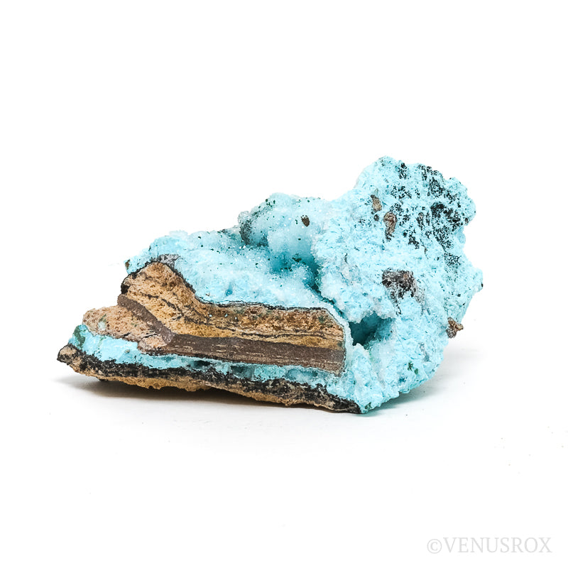 Chrysocolla with Malachite, Clear Quartz & Matrix Natural Crystal from the Tenke-Fungurume Area, Lualaba, Democratic Republic of the Congo | Venusrox