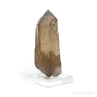 Elestial Citrine 'Cathedral' Natural Point from Brazil mounted on a bespoke stand | Venusrox