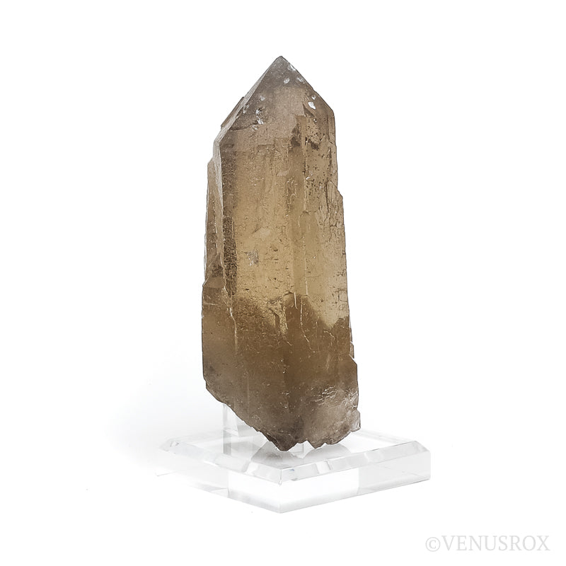 Elestial Citrine 'Cathedral' Natural Point from Brazil mounted on a bespoke stand | Venusrox