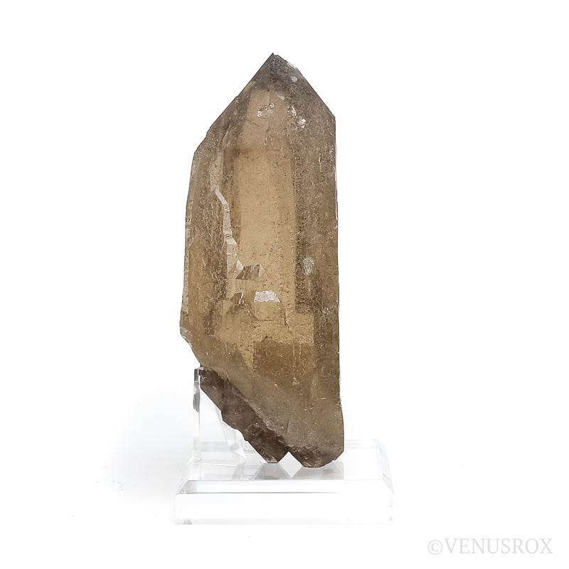 Elestial Citrine 'Cathedral' Natural Point from Brazil mounted on a bespoke stand | Venusrox