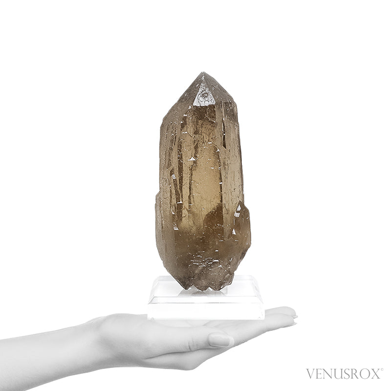 Elestial Citrine 'Cathedral' Natural Point from Brazil mounted on a bespoke stand | Venusrox