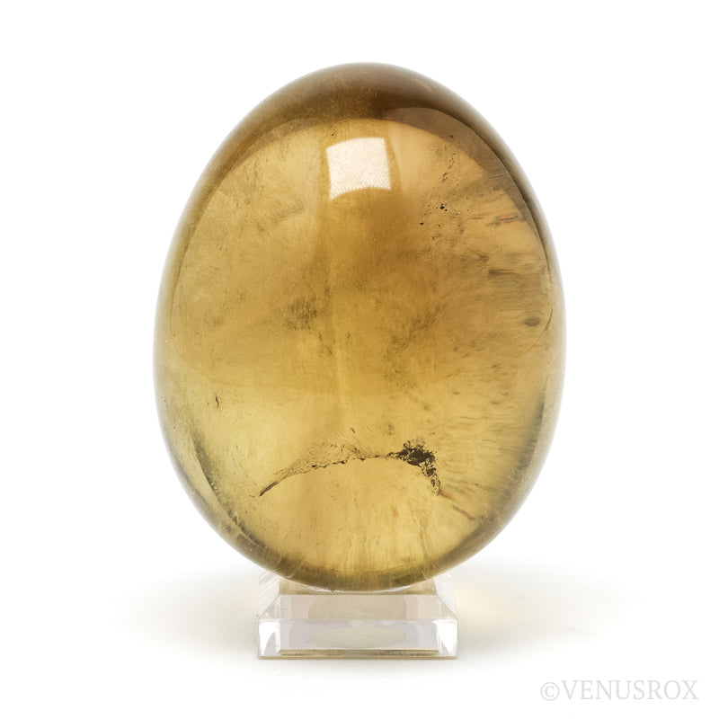 CITRINE (PHANTOM) EGG - EGGS