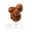 Creedite Natural Cluster from Mina Navidad, Abasolo, Durango, Mexico mounted on a bespoke stand | Venusrox