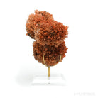 Creedite Natural Cluster from Mina Navidad, Abasolo, Durango, Mexico mounted on a bespoke stand | Venusrox