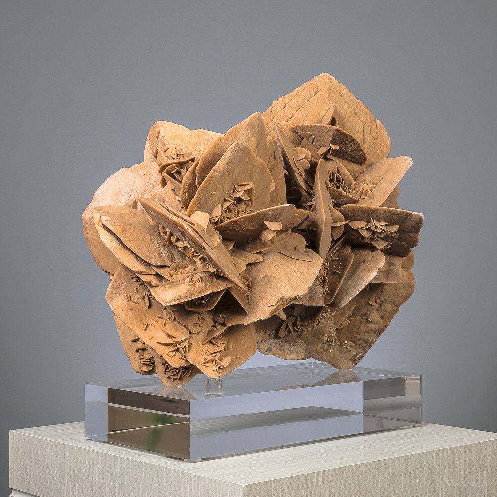 Desert Rose Natural Cluster | Venusrox
