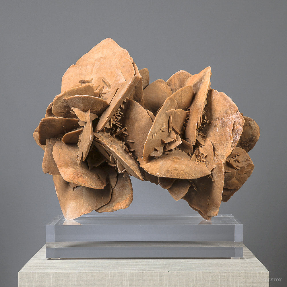 Desert Rose Natural Cluster | Venusrox