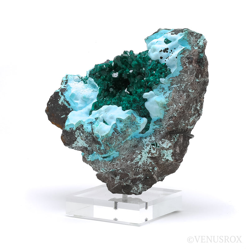 Dioptase with Chrysocolla on Matrix Natural Cluster | Venusrox