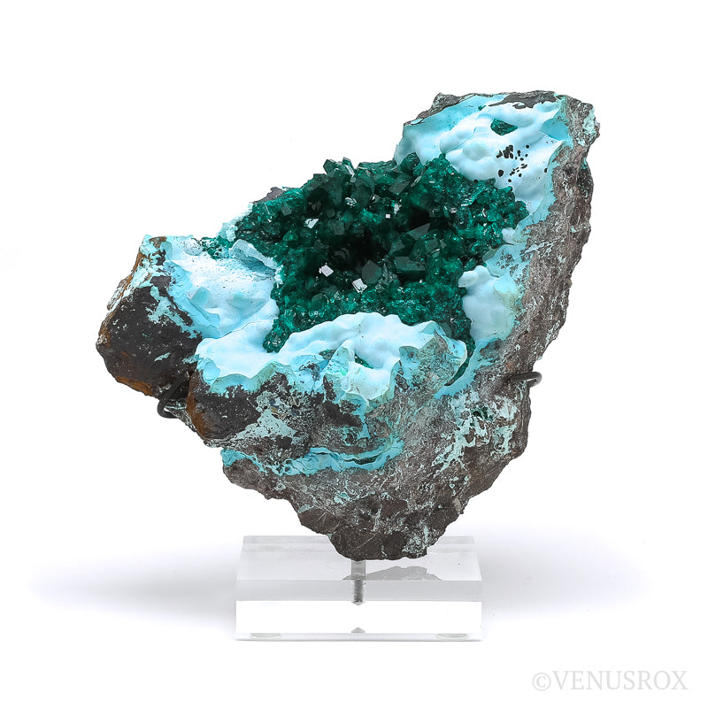 Dioptase with Chrysocolla on Matrix Natural Cluster | Venusrox