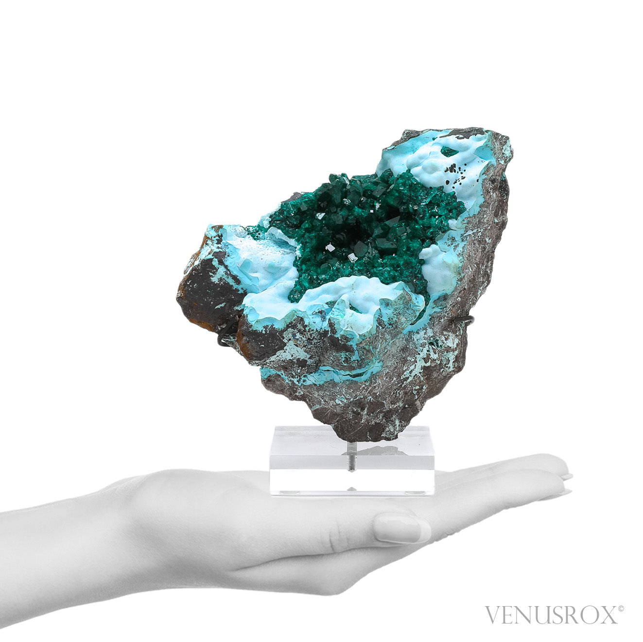 Dioptase with Chrysocolla on Matrix Natural Cluster | Venusrox