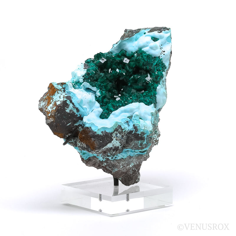 Dioptase with Chrysocolla on Matrix Natural Cluster | Venusrox