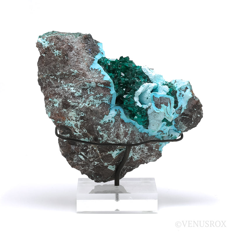 Dioptase with Chrysocolla on Matrix Natural Cluster | Venusrox
