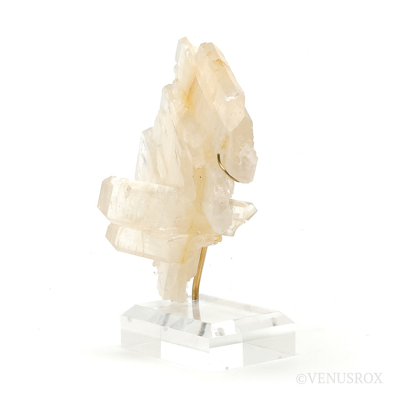 Faden Golden Quartz Cluster | Venusrox