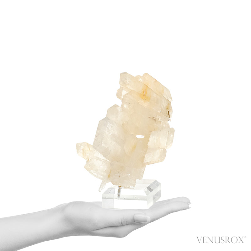 Faden Golden Quartz Cluster | Venusrox