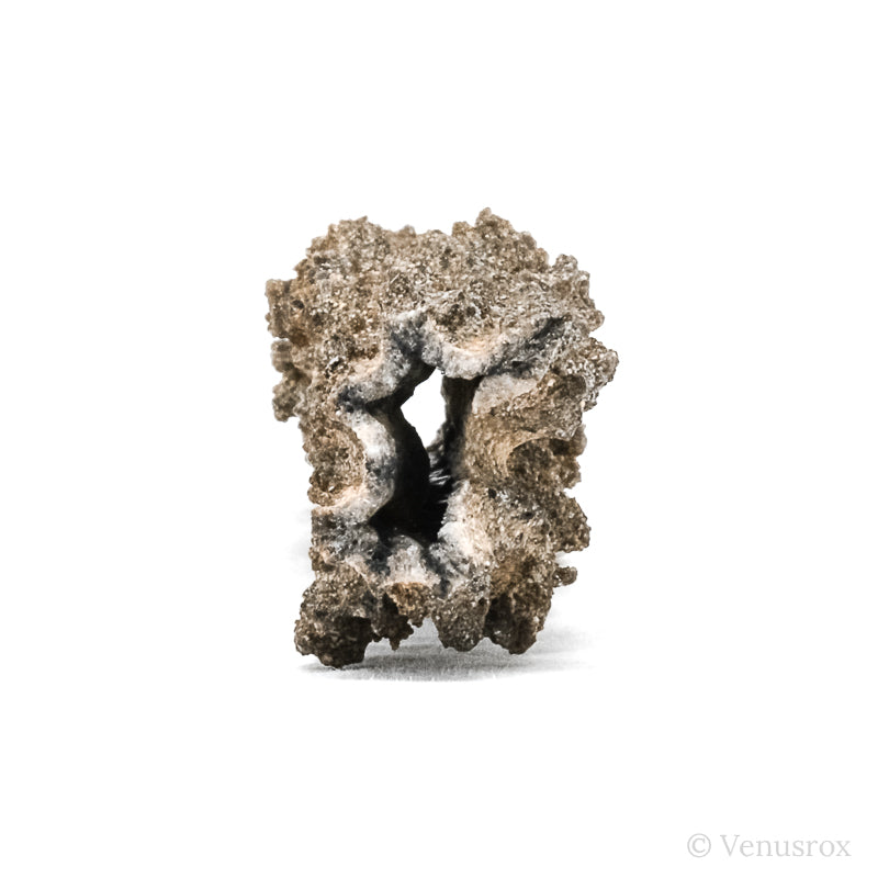 Fulgurite from North Africa | Venusrox