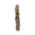 Fulgurite from North Africa | Venusrox