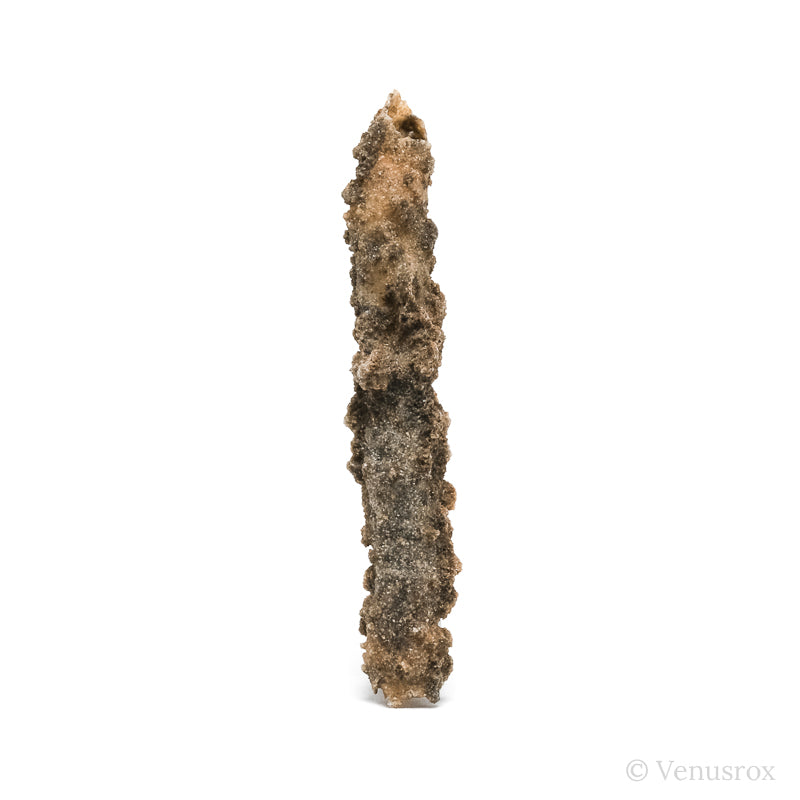 Fulgurite from North Africa | Venusrox