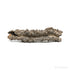 Fulgurite from North Africa | Venusrox