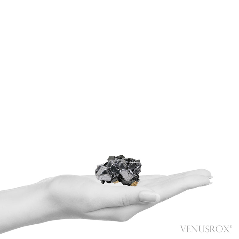 Galena Natural Cluster from the Vtoroy Sovetskiy Mine, Dalnegorsk, Primorskiy Kray, Russia | Venusrox