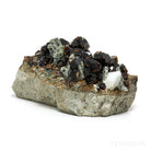 Spessartine Garnet on Matrix Natural Cluster from the Laghman Province, Afghanistan | Venusrox