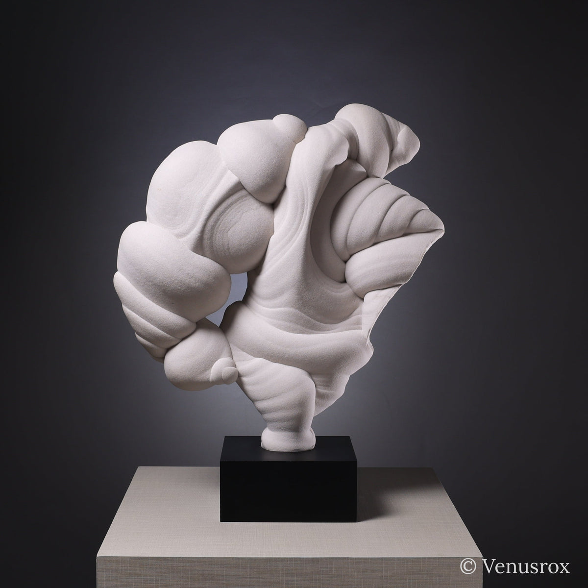 Gogotte Natural Crystal from Fontainebleau, France mounted on bespoke stand | Venusrox