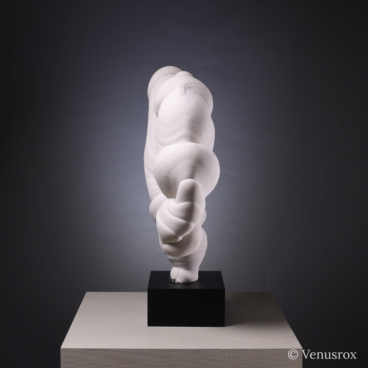 Gogotte Natural Crystal from Fontainebleau, France mounted on bespoke stand | Venusrox