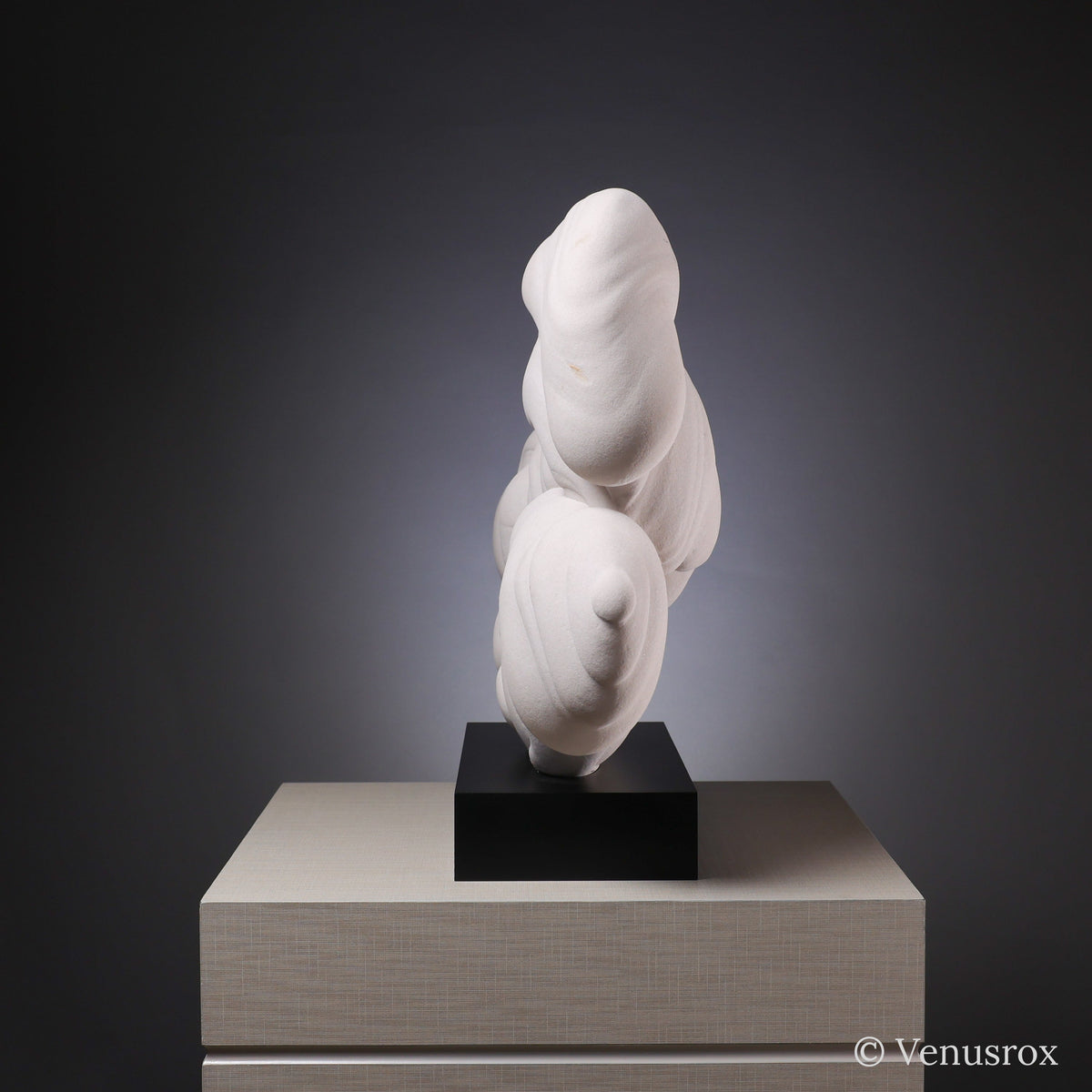 Gogotte Natural Crystal from Fontainebleau, France mounted on bespoke stand | Venusrox