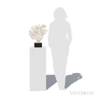 Gogotte Natural Crystal from Fontainebleau, France mounted on bespoke stand | Venusrox