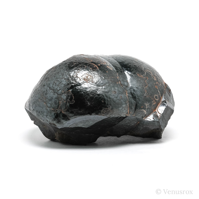 Botryoidal Hematite Natural Crystal from the Irhoud Mine, Safi Province, Morocco | Venusrox