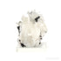 HUBNERITE ON QUARTZ (CLEAR) NATURAL CLUSTER - NATURAL CRYSTALS