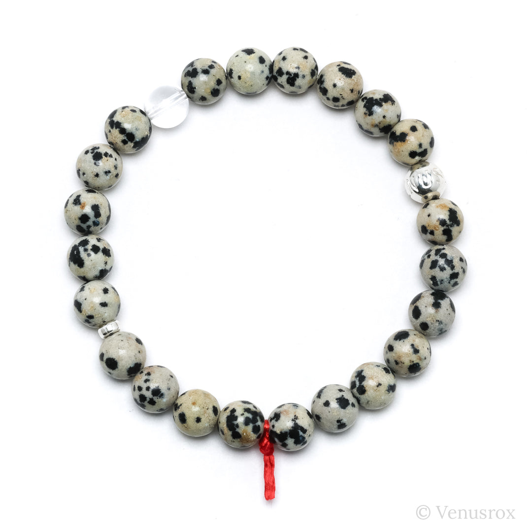Dalmatian Jasper Bracelet from China | Venusrox