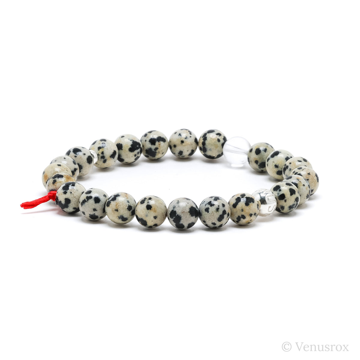 Dalmatian Jasper Bracelet from Mexico | Venusrox