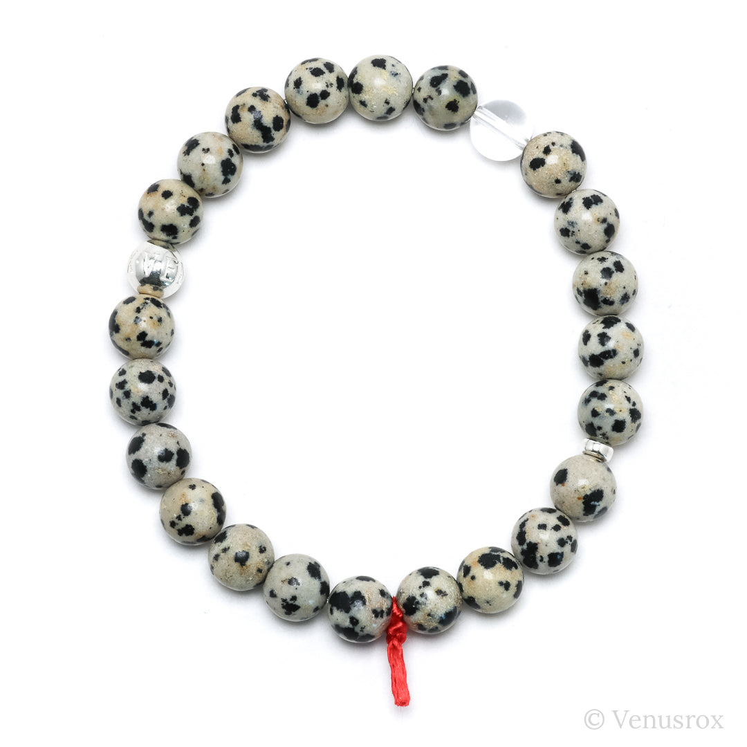 Dalmatian Jasper Bracelet from China | Venusrox