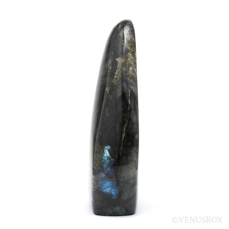 Labradorite Polished Freeform from Madagascar | Venusrox